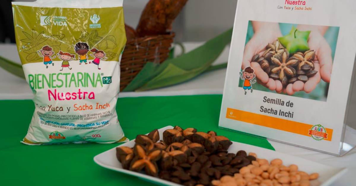 Recetas rápidas y maridajes recomendados para la cocina práctica