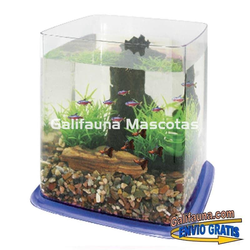 Peceras para betanas